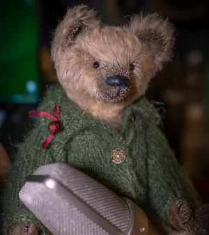 GEORG (The Acoustic Teddy-Trap)