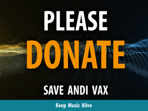 UNDER FIRE: Support the Andi Vax Studio Relocation