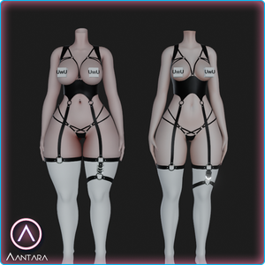 Harness Set