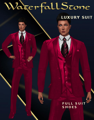 Luxury Suit