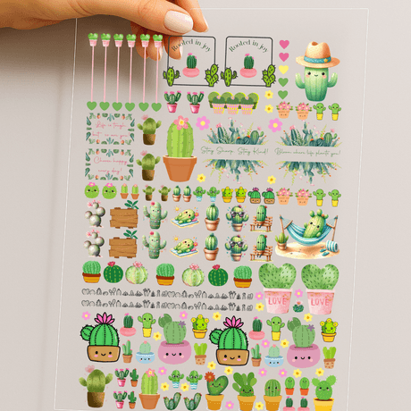 Cactus Garden Collection