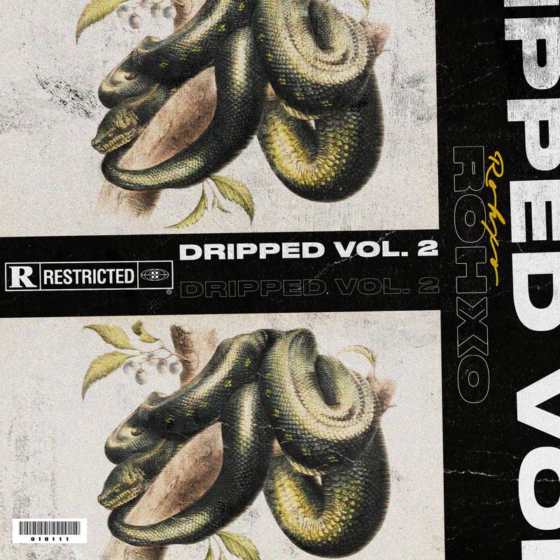 RohXO - Dripped Volume 2 Loop Kit &amp; MIDI Kit