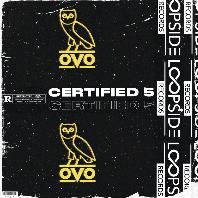 [10+] Loopside Records - Ethereal 3 Loop Kit & MIDI Ki