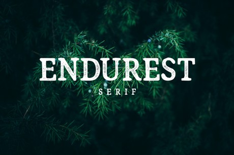 Endurest Font