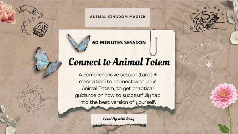 Connect with your Animal Totem, Animal Spirit &amp; Power Animal