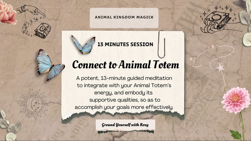Guided Meditation | Connect with your Divine Animal Guides