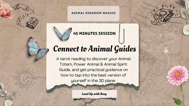 Tarot Reading | Who are your Divine Animal Guides?