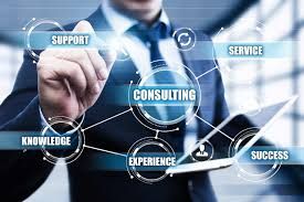 60 Day Business Consultation
