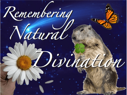 Natural Divination