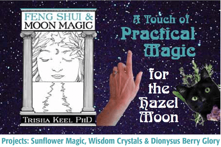 Practical Magic for the Hazel Moon