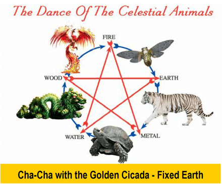 Cha-Cha with the Golden Cicada - Fixed Earth