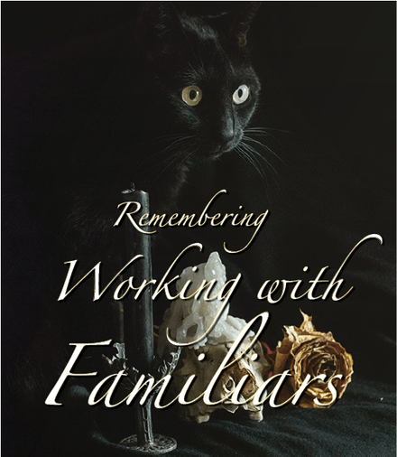 Working with Familiars