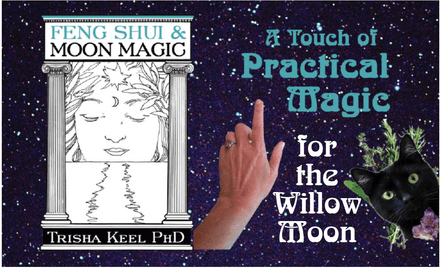 Practical Magic for the Willow Moon