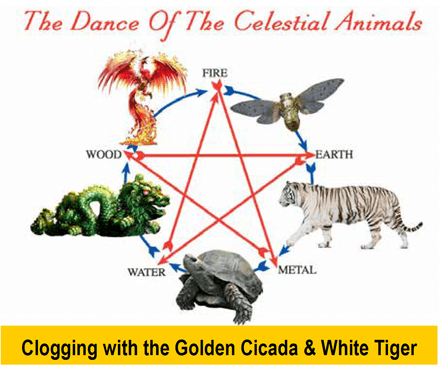 Clogging with the Golden Cicada &amp; White Tiger