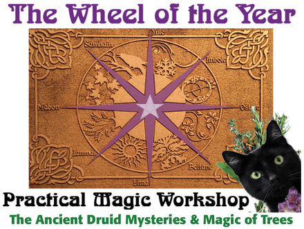 April Practical Magic: Ancient Druid Tree Mysteries &amp; Magic of Trees