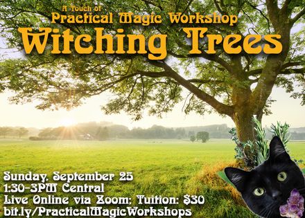 Witching Tree Magic