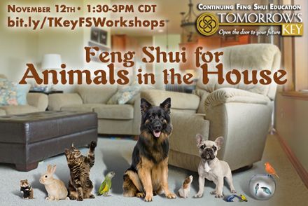 Continuing Feng Shui Education: Pets in the House