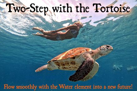 Two Step with the Tortoise