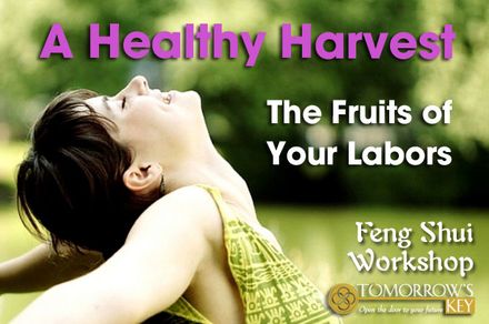 A Healthy Harvest: The Fruits of Your Labor