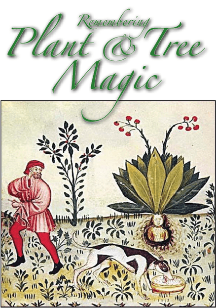 Plants &amp; Tree Magic