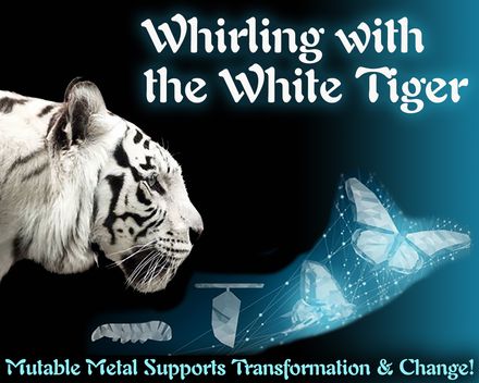 Whirling with the White Tiger