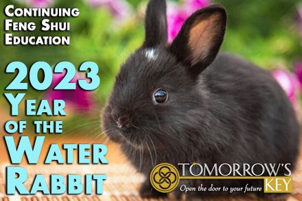 Continuing Feng Shui Education: 2023 - The Year of the Water Rabbit