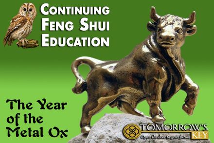 Continuing Feng Shui Education: The Year of the Metal Ox