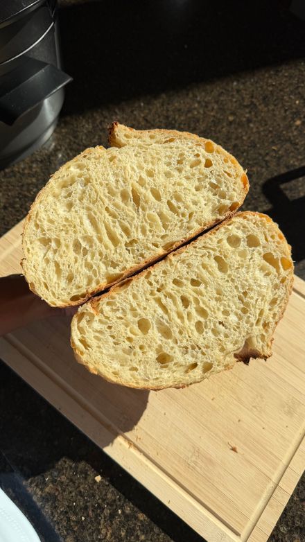Bread and Better Dehydrated Sourdough Starter