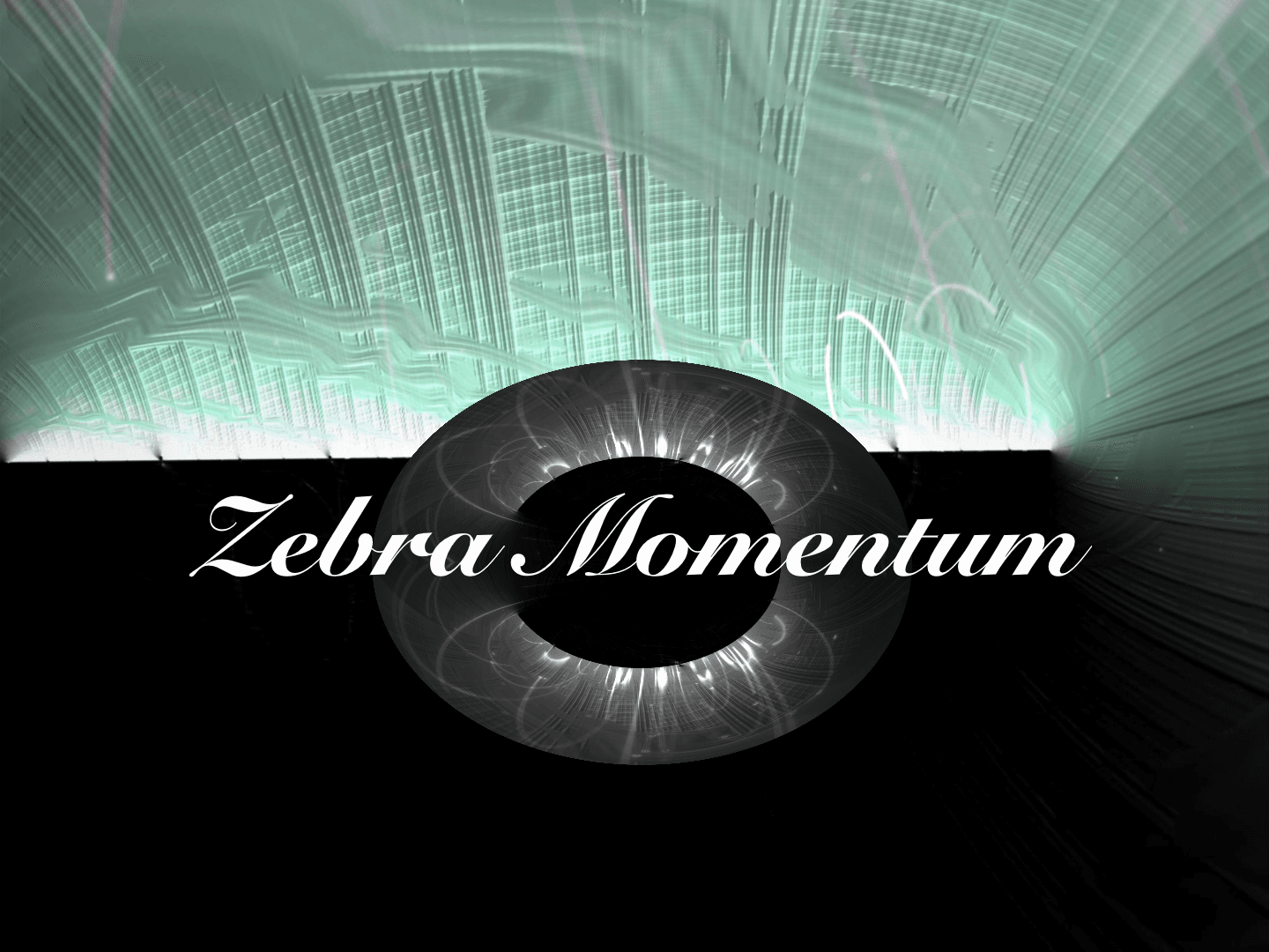 Zebra Momentum