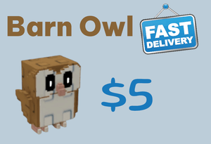 Barn Owl