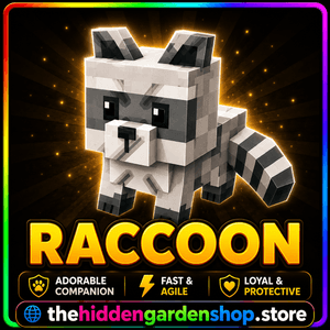 Raccoon