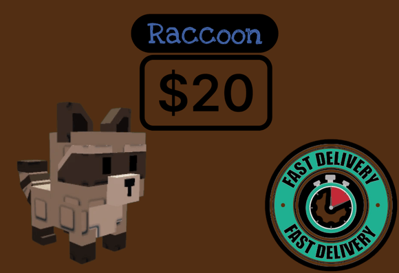 Raccoon