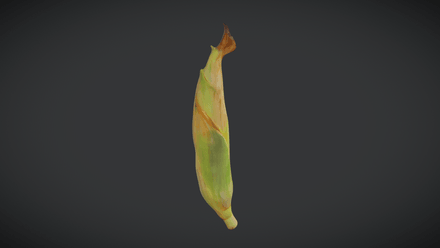Corn Husk - low poly PBR 3d model
