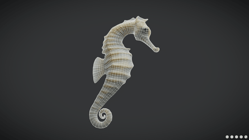 Seahorse - low poly PBR 3d model