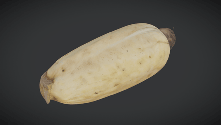 Lotus Root - low poly PBR 3d model