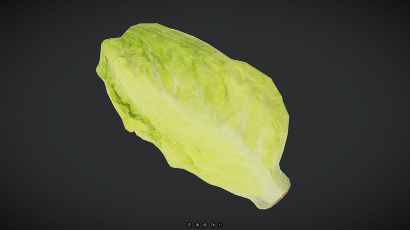 Lettuce - low poly PBR 3d model