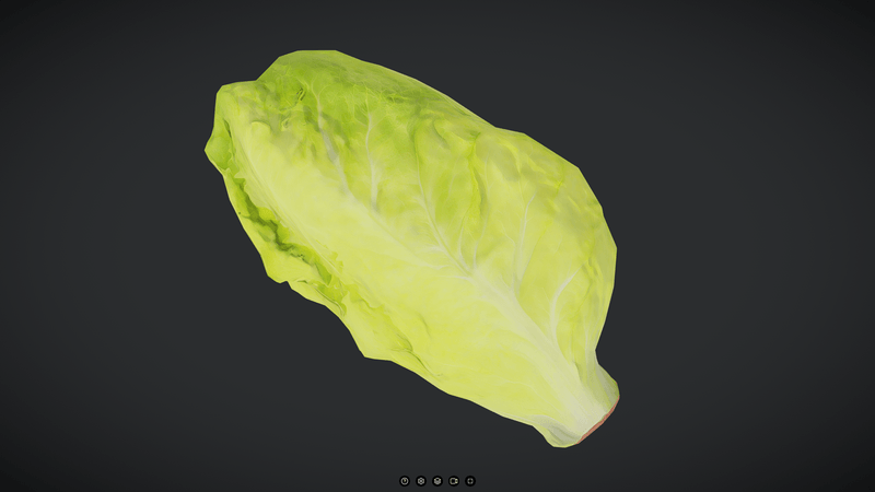 Lettuce - low poly PBR 3d model
