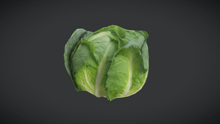 Cabbage - low poly PBR 3d model