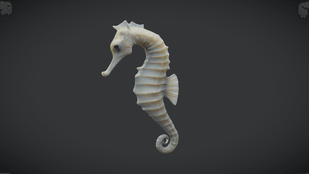 Seahorse - low poly PBR 3d model