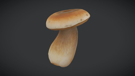 King Oyster Mushroom - low poly PBR 3d model