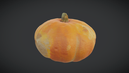 Rotten Pumpkin - low poly PBR 3d model