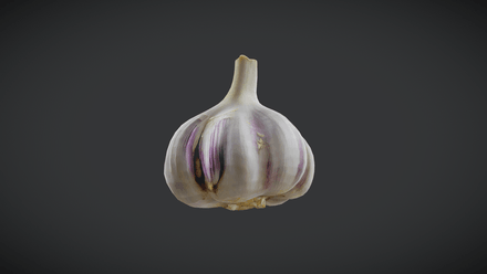 Garlic - low poly PBR 3d model