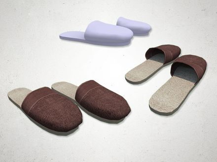 Slippers - 3D Model