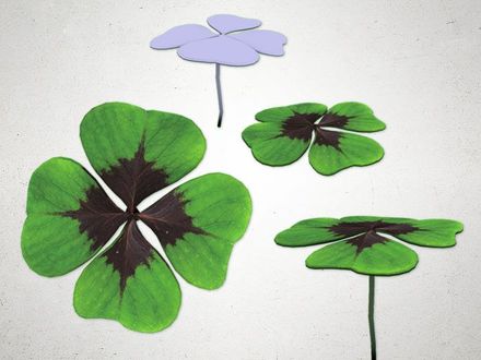 Leaf Clover - 3D Model