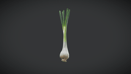 Scallion - low poly PBR 3d model