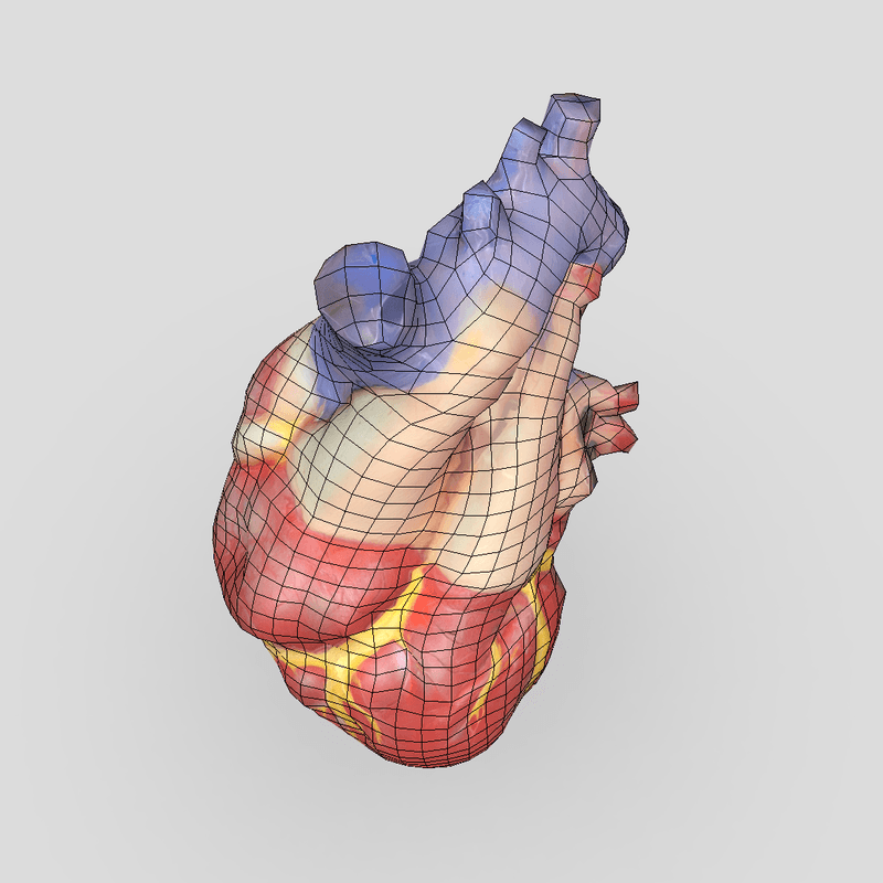 Human Heart - low poly PBR 3d model