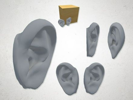 Ear - 3D Model