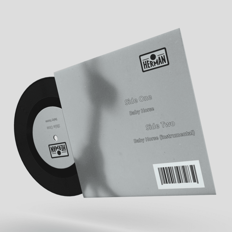 7 inch Vinyl Record Herman - low poly PBR 3d model