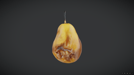 Rotten Pear 2 - low poly PBR 3d model