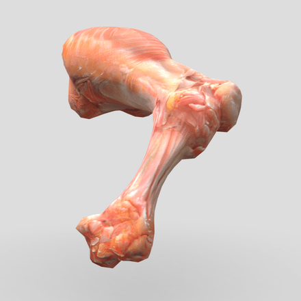 Raw Chicken Leg - low poly PBR 3d model